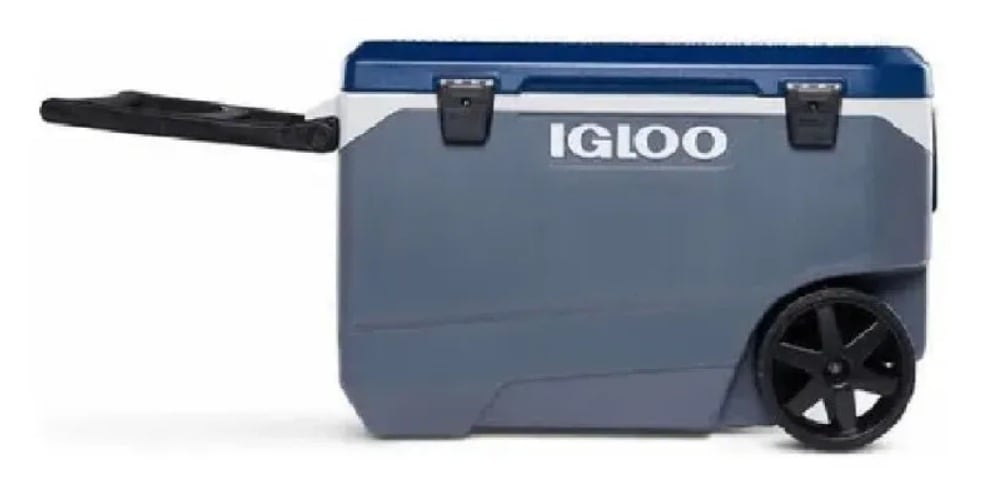 Profeco alerta: si tienes este modelo de hielera Igloo debes llevarlo a revisión por riesgo de lesión