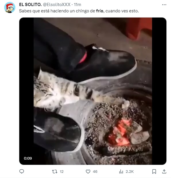 Team frío protagoniza memes por bajas temperaturas en CDMX