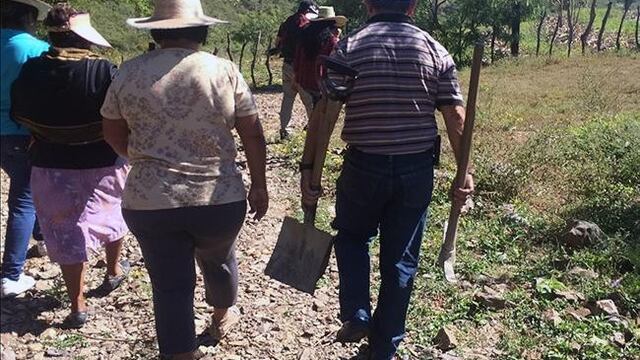 478 familiares buscan los cuerpos de 236.
