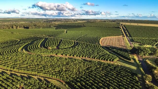 Agricultura