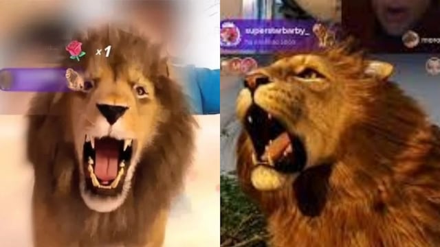 Esto es lo que cuesta el regalo del león en TikTok