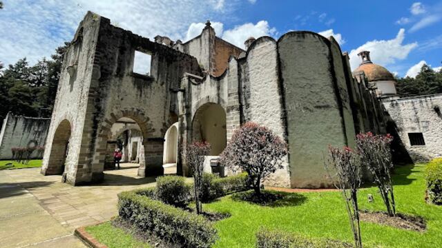 Desierto de los Leones