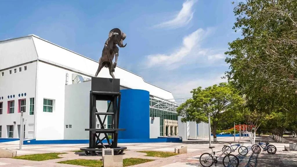 Space Sheeps: el equipo queretano que pone a México en la final de DefInSpace 2025