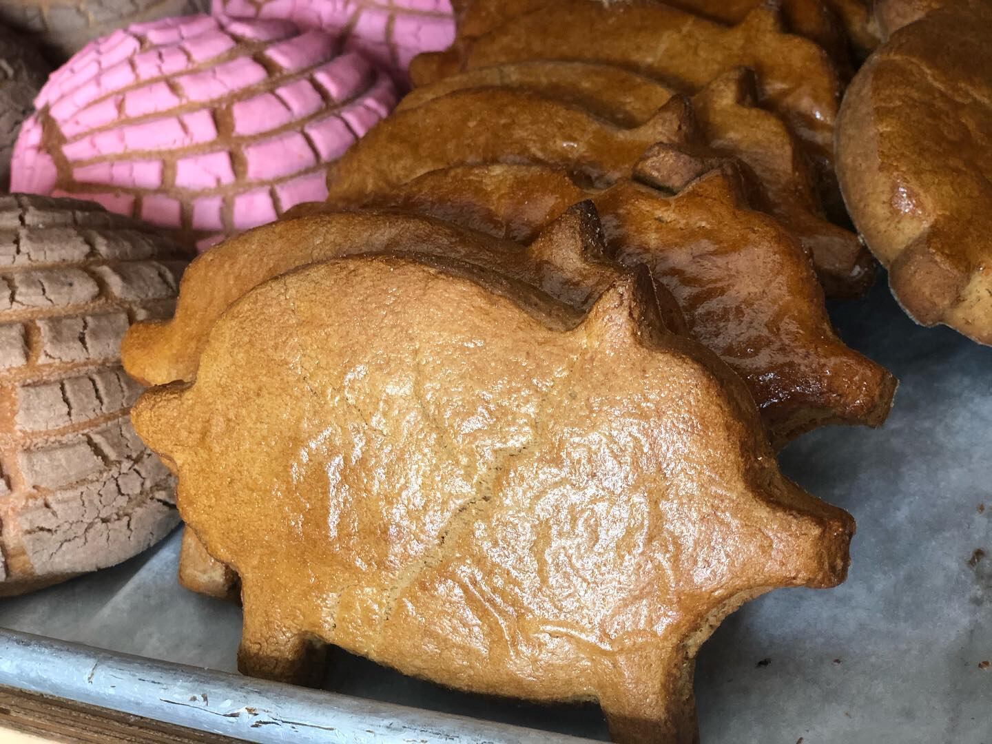 ¿Qué son los marranitos, las mejores galletas de México según Taste Atlas?