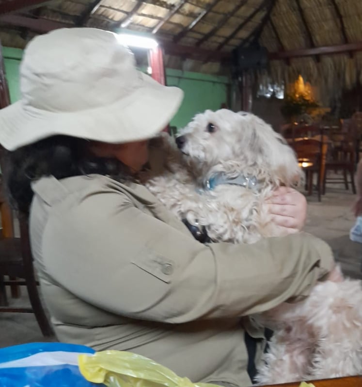 Perrito 'Luno'