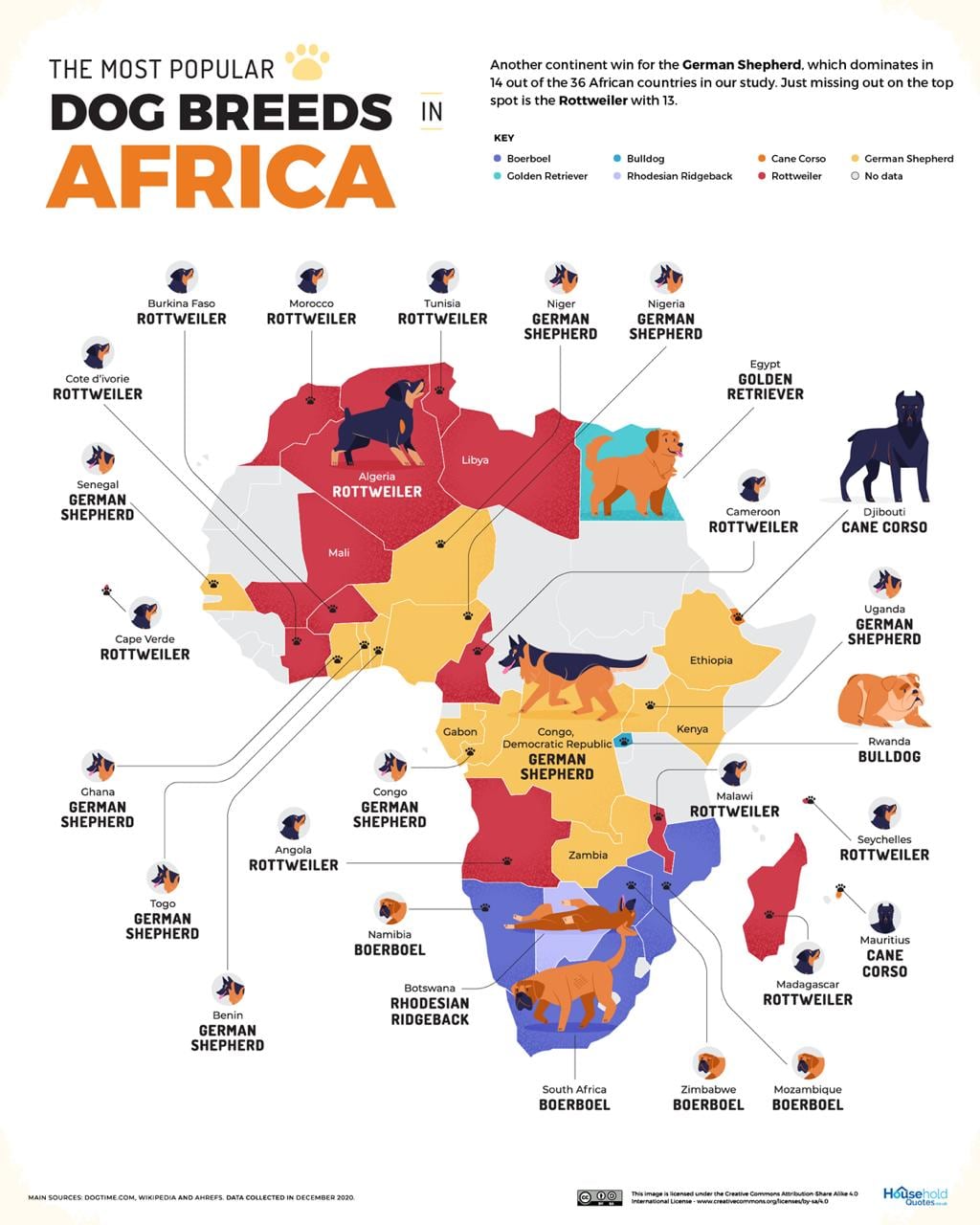 Razas de perro en África