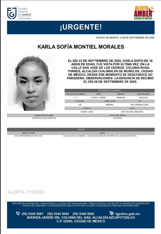 Ficha de búsqueda de Karla