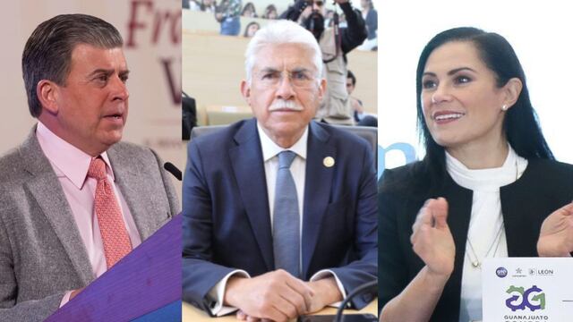 Perfiles con mayores preferencias en Guanajuato