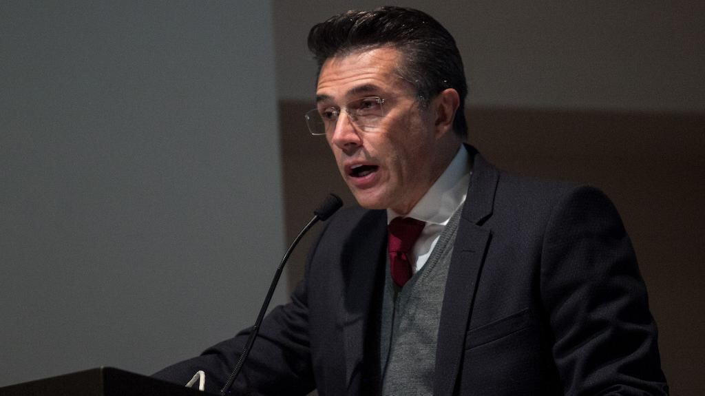 Sergio Mayer, diputado federal