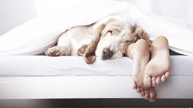 Recuerda que necesitas descansar al menos 8 horas al día.