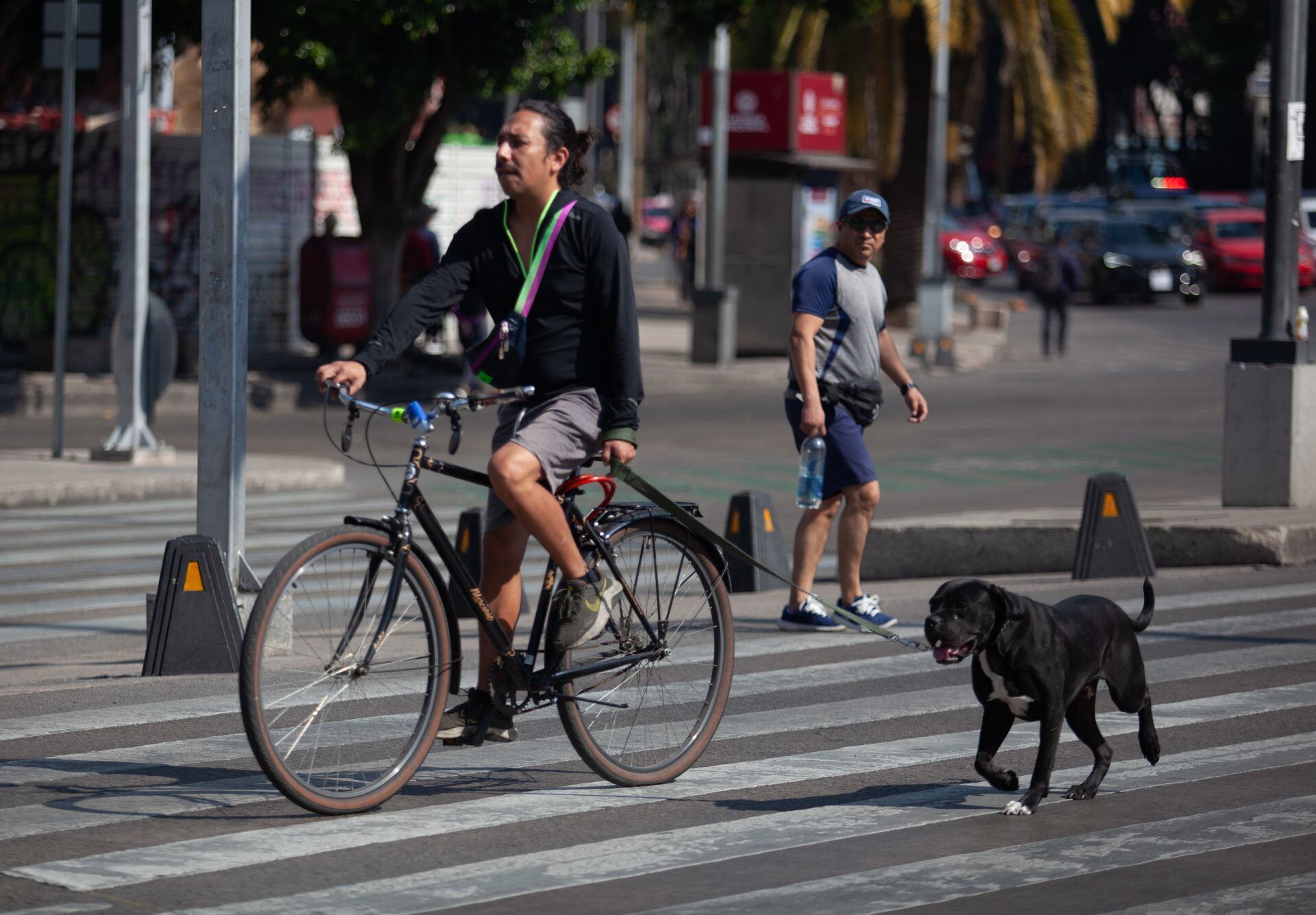 Así será la ciclovía de CDMX que unirá el Centro Histórico con el Estadio Azteca
