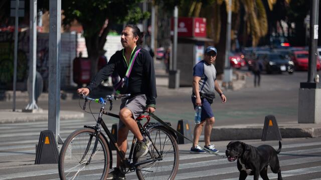 Así será la ciclovía de CDMX que unirá el Centro Histórico con el Estadio Azteca