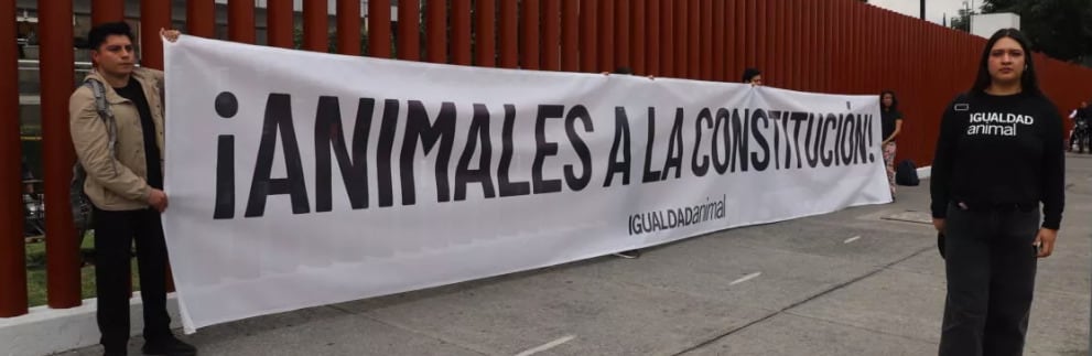 Se manifiestan a favor de los animales a la Constitución