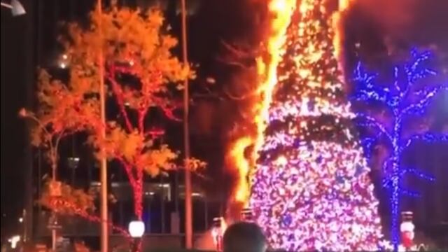 Incendian Árbol de Navidad de Fox