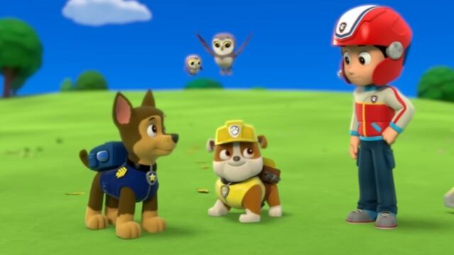 Paw Patrol salva a un búho y otros animales bebés