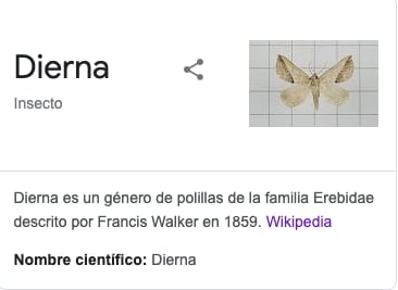 Definición de Dierna en Google