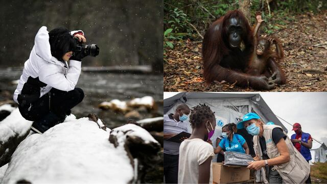 Hoy 19 de agosto es el Día Mundial de la Fotografía, el Día Mundial del Orangután y el Día Mundial de la Asistencia Humanitaria