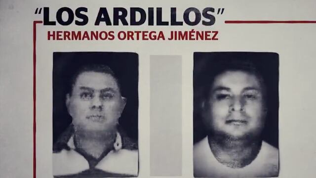 ¿Quiénes son Los Ardillos?