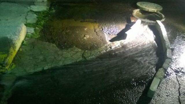 Foto: Alejandro González/Milenio