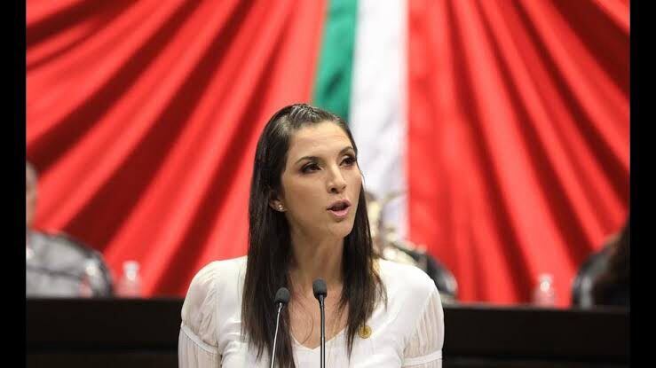 Ana Laura Bernal Camarena, diputada del PT