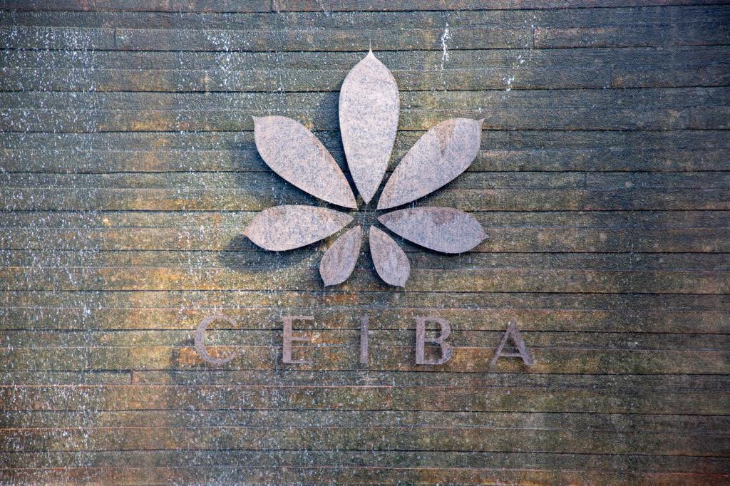 Rubén Rocha celebra la inauguración de Plaza Ceiba