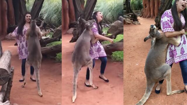 El video de TikTok de una mujer saltando con un canguro
