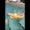 VIDEO: Bebé cae a piscina y su madre no lo ayuda a salir