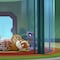 El doctor Marshall salva a los cachorros de Paw Patrol: Capítulo corto en YouTube y español por el Día Mundial del Cerebro