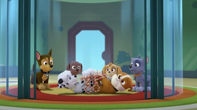 El doctor Marshall salva a los cachorros de Paw Patrol