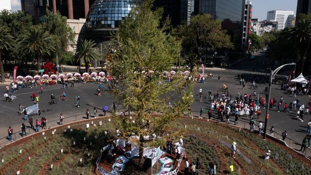 Glorieta de los desaparecidos, anteriormente Glorieta de la Palma