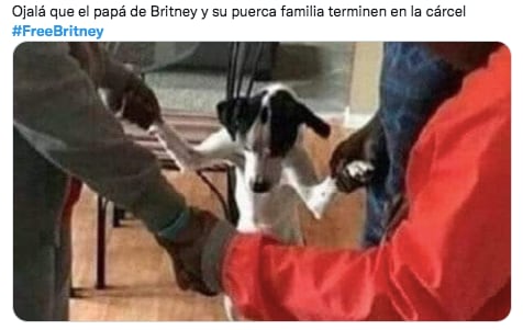 Fans celebran triunfo de Britney Spears
