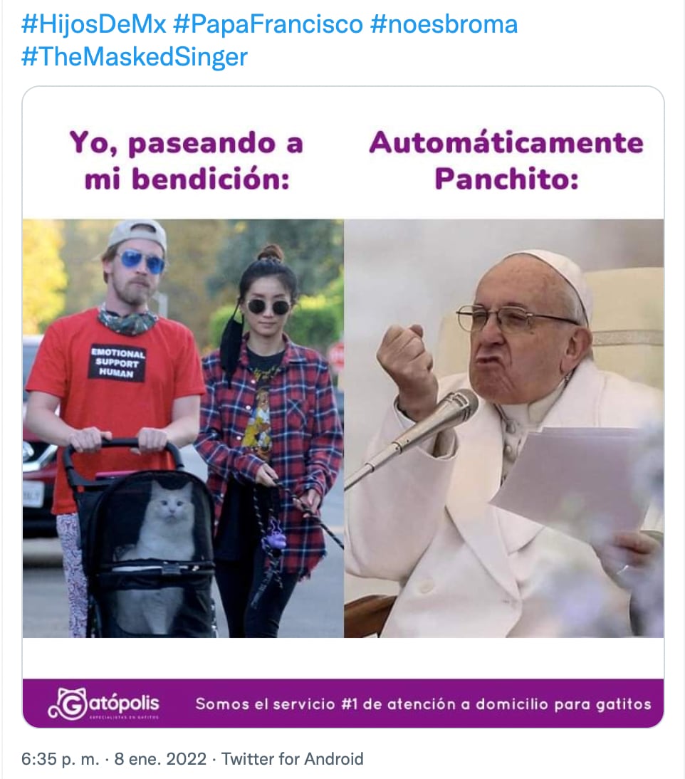 Meme del Papa Francisco y las mascotas