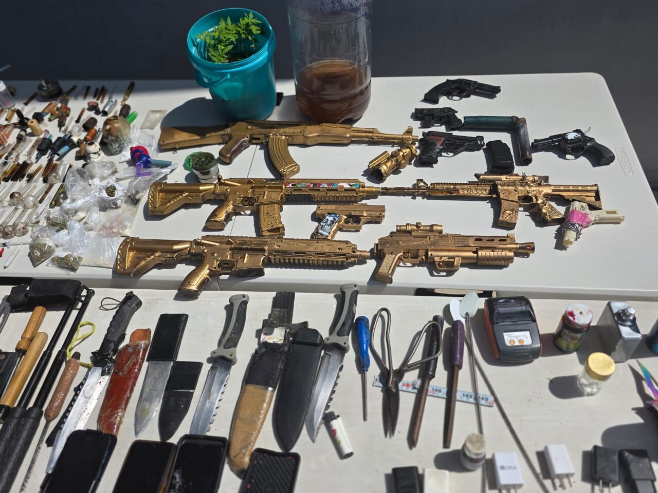 Penal de Puente Grande, Jalisco