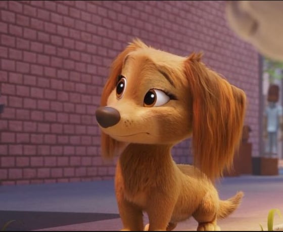 ¿Qué raza es Liberty Paw de Patrol?
