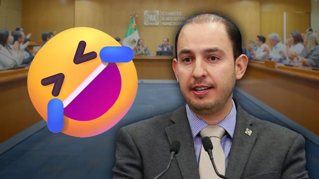 ¿Gusano barrenador afecta la fruta? Así se burlaron de Marko Cortés del PAN