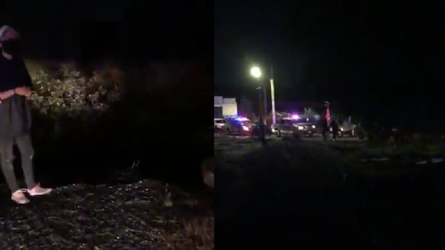 Localizan perros, gatos y coyotes muertos en San Luis Potosí