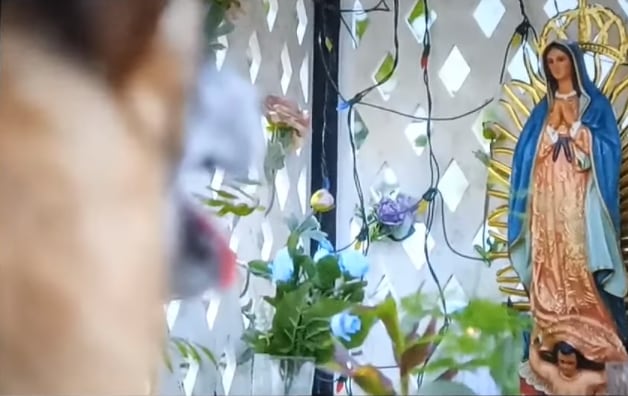 Perro pidió milagro en La Rosa de Guadalupe