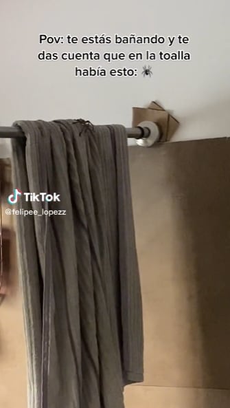 Encuentra araña en su baño