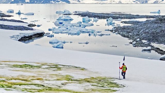 La Antártida con nieve verde