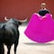 Corridas de toros en la Plaza México sí podrían realizarse tras nuevo recurso legal