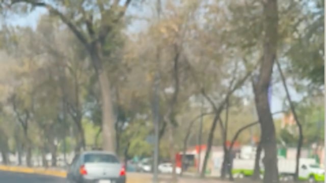 Captura de video de perrito abandonado en la CDMX