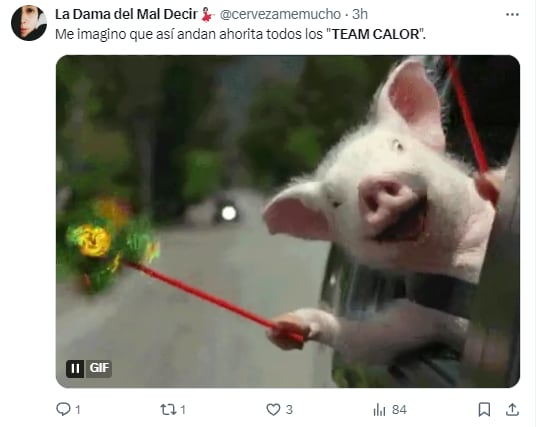 Memes por las altas temperaturas