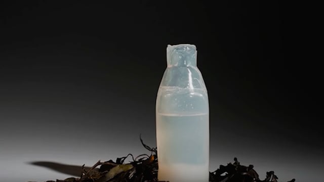 Botella biodegradable