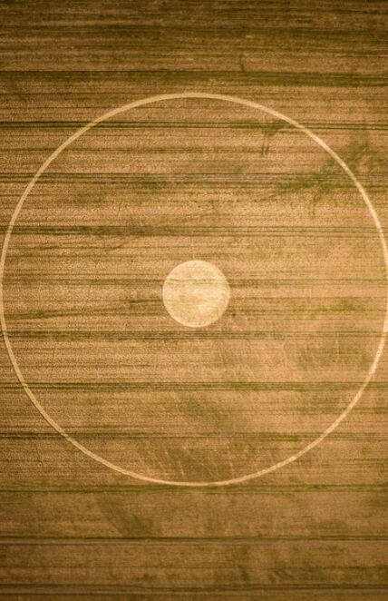 Crop Circle, Jaime Maussan