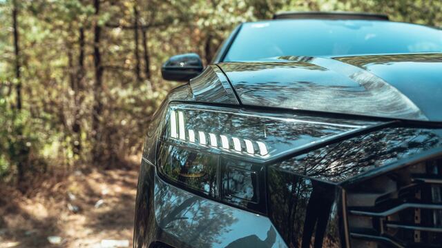 Audi Go Green y la conservación de los bosques de México