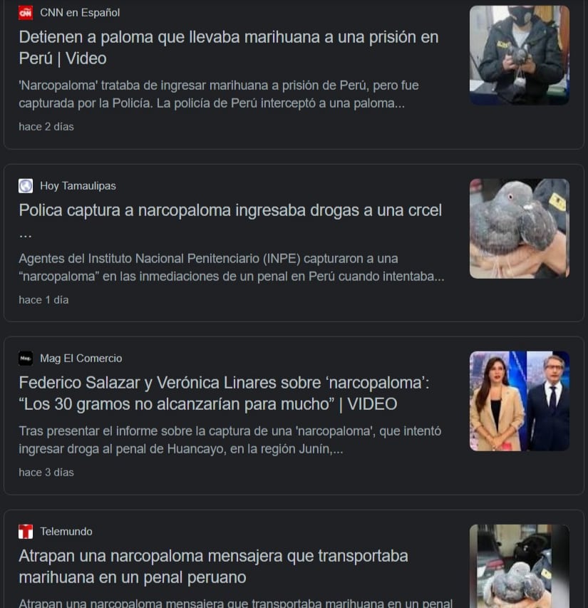 Narcopalomas internet