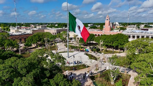 Deforestación rapaz en Mérida