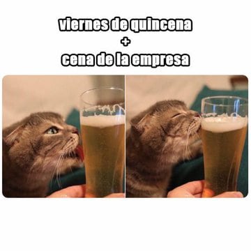Memes del puente y la quincena.