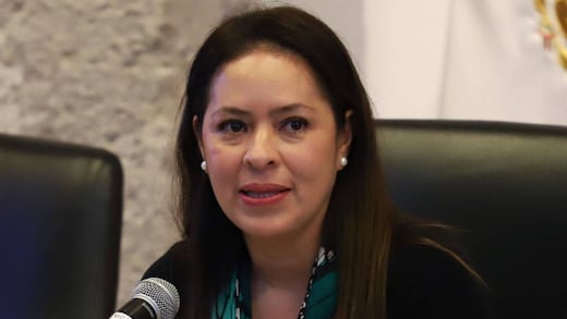 ¿Quién es Karen Castrejón? Dirigente Nacional del Partido Verde