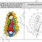 ¿Se parecen? Corte tardó 8 años en resolverlo